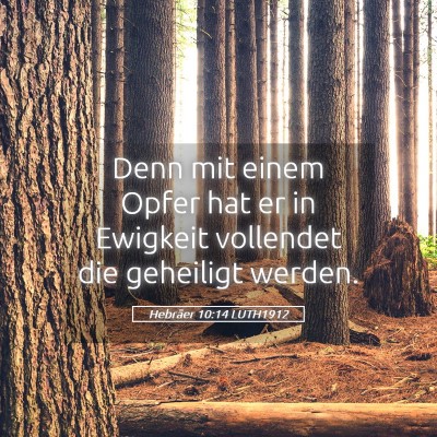 Picture 05 - Hebräer 10:14 LUTH1912 - Denn mit einem Opfer hat er in Ewigkeit vollendet - Bible Verse Picture