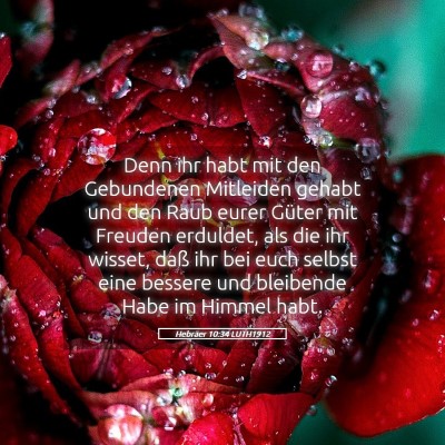 Picture 05 - Hebräer 10:34 LUTH1912 - Denn ihr habt mit den Gebundenen Mitleiden gehabt - Bible Verse Picture