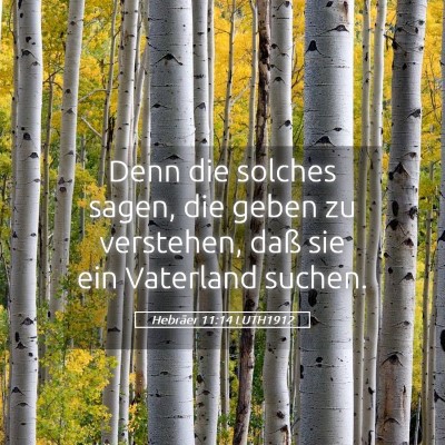 Picture 05 - Hebräer 11:14 LUTH1912 - Denn die solches sagen, die geben zu verstehen, - Bible Verse Picture
