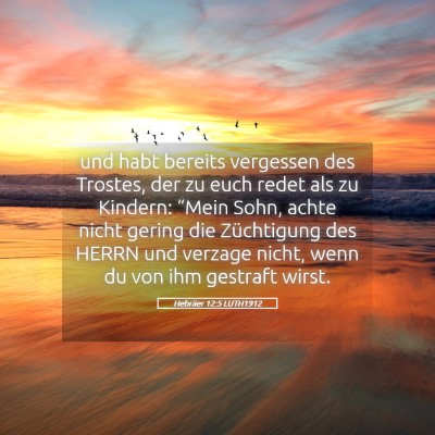 Picture 05 - Hebräer 12:5 LUTH1912 - und habt bereits vergessen des Trostes, der zu - Bible Verse Picture