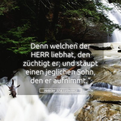 Picture 05 - Hebräer 12:6 LUTH1912 - Denn welchen der HERR liebhat, den züchtigt er; - Bible Verse Picture