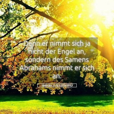 Picture 05 - Hebräer 2:16 LUTH1912 - Denn er nimmt sich ja nicht der Engel an, sondern - Bible Verse Picture