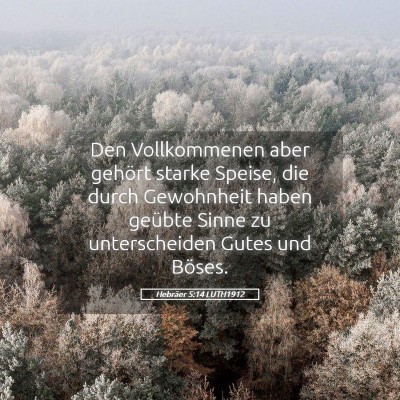 Picture 05 - Hebräer 5:14 LUTH1912 - Den Vollkommenen aber gehört starke Speise, die - Bible Verse Picture