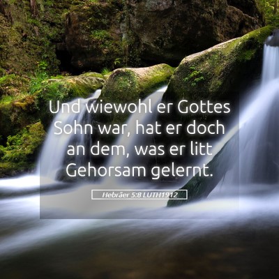 Picture 05 - Hebräer 5:8 LUTH1912 - Und wiewohl er Gottes Sohn war, hat er doch an - Bible Verse Picture