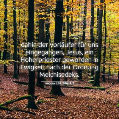 Picture 05 - Hebräer 6:20 LUTH1912 - dahin der Vorläufer für uns eingegangen, Jesus, - Bible Verse Picture