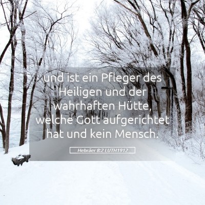 Picture 05 - Hebräer 8:2 LUTH1912 - und ist ein Pfleger des Heiligen und der - Bible Verse Picture