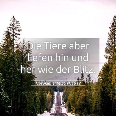 Picture 05 - Hesekiel 1:14 LUTH1912 - Die Tiere aber liefen hin und her wie der - Bible Verse Picture