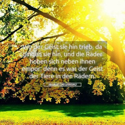 Picture 05 - Hesekiel 1:20 LUTH1912 - Wo der Geist sie hin trieb, da gingen sie hin, - Bible Verse Picture