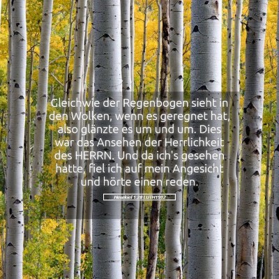 Picture 05 - Hesekiel 1:28 LUTH1912 - Gleichwie der Regenbogen sieht in den Wolken, - Bible Verse Picture