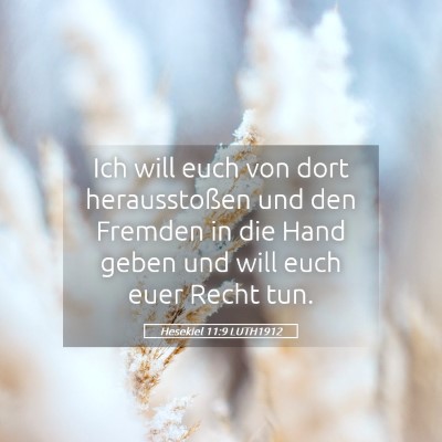 Picture 05 - Hesekiel 11:9 LUTH1912 - Ich will euch von dort herausstoßen und den - Bible Verse Picture