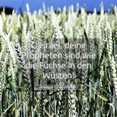 Picture 05 - Hesekiel 13:4 LUTH1912 - O Israel, deine Propheten sind wie die Füchse in - Bible Verse Picture