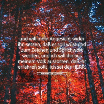 Picture 05 - Hesekiel 14:8 LUTH1912 - und will mein Angesicht wider ihn setzen, daß er - Bible Verse Picture