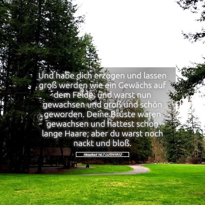 Picture 05 - Hesekiel 16:7 LUTH1912 - Und habe dich erzogen und lassen groß werden wie - Bible Verse Picture