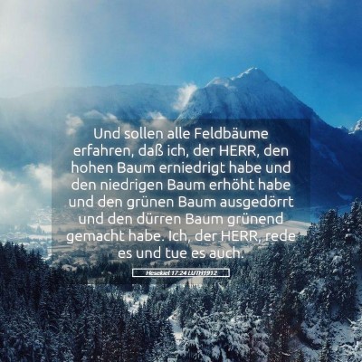 Picture 05 - Hesekiel 17:24 LUTH1912 - Und sollen alle Feldbäume erfahren, daß ich, - Bible Verse Picture