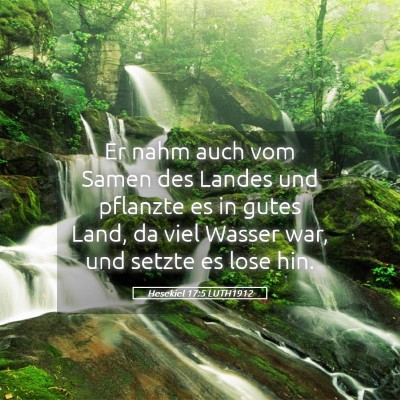 Picture 05 - Hesekiel 17:5 LUTH1912 - Er nahm auch vom Samen des Landes und pflanzte es - Bible Verse Picture