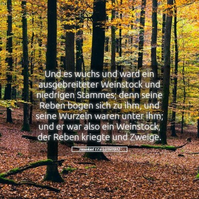 Picture 05 - Hesekiel 17:6 LUTH1912 - Und es wuchs und ward ein ausgebreiteter - Bible Verse Picture