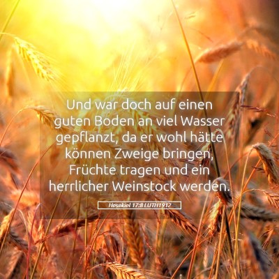 Picture 05 - Hesekiel 17:8 LUTH1912 - Und war doch auf einen guten Boden an viel Wasser - Bible Verse Picture