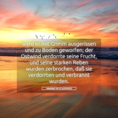 Picture 05 - Hesekiel 19:12 LUTH1912 - ward er mit Grimm ausgerissen und zu Boden - Bible Verse Picture
