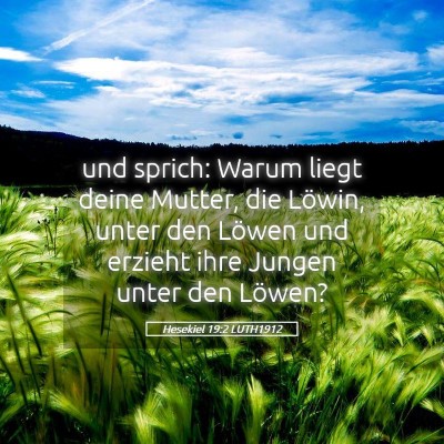 Picture 05 - Hesekiel 19:2 LUTH1912 - und sprich: Warum liegt deine Mutter, die Löwin, - Bible Verse Picture