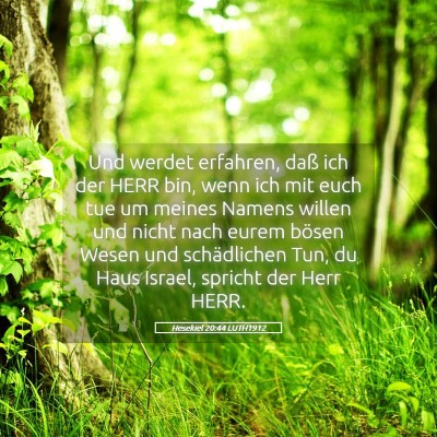 Picture 05 - Hesekiel 20:44 LUTH1912 - Und werdet erfahren, daß ich der HERR bin, wenn - Bible Verse Picture