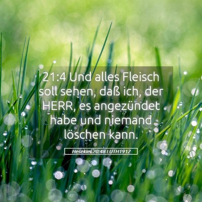 Picture 05 - Hesekiel 20:48 LUTH1912 - 21:4 Und alles Fleisch soll sehen, daß ich, der - Bible Verse Picture