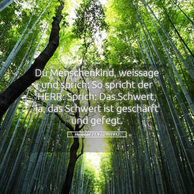 Picture 05 - Hesekiel 21:9 LUTH1912 - Du Menschenkind, weissage und sprich: So spricht - Bible Verse Picture