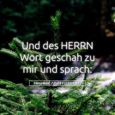 Picture 05 - Hesekiel 22:23 LUTH1912 - Und des HERRN Wort geschah zu mir und - Bible Verse Picture