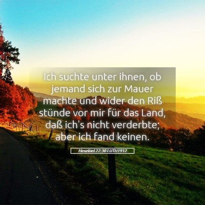 Picture 05 - Hesekiel 22:30 LUTH1912 - Ich suchte unter ihnen, ob jemand sich zur Mauer - Bible Verse Picture