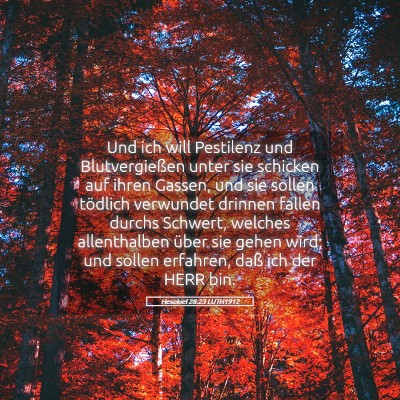 Picture 05 - Hesekiel 28:23 LUTH1912 - Und ich will Pestilenz und Blutvergießen unter - Bible Verse Picture