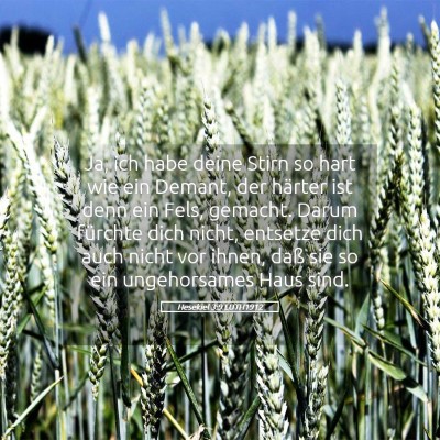 Picture 05 - Hesekiel 3:9 LUTH1912 - Ja, ich habe deine Stirn so hart wie ein Demant, - Bible Verse Picture