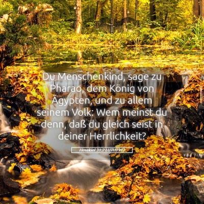 Picture 05 - Hesekiel 31:2 LUTH1912 - Du Menschenkind, sage zu Pharao, dem König von - Bible Verse Picture