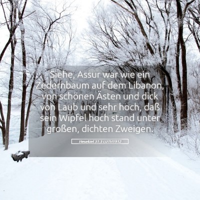 Picture 05 - Hesekiel 31:3 LUTH1912 - Siehe, Assur war wie ein Zedernbaum auf dem - Bible Verse Picture