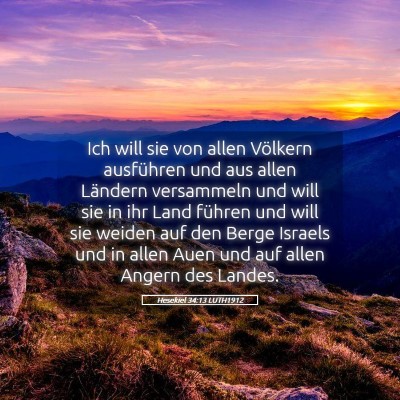 Picture 05 - Hesekiel 34:13 LUTH1912 - Ich will sie von allen Völkern ausführen und - Bible Verse Picture