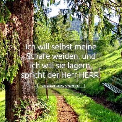 Picture 05 - Hesekiel 34:15 LUTH1912 - Ich will selbst meine Schafe weiden, und ich will - Bible Verse Picture