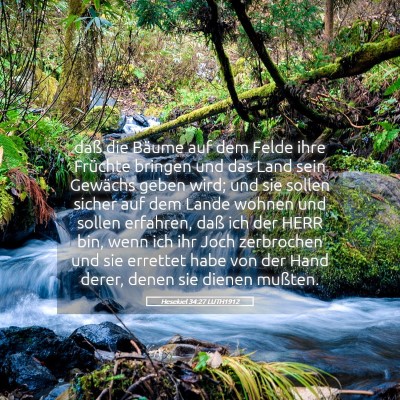 Picture 05 - Hesekiel 34:27 LUTH1912 - daß die Bäume auf dem Felde ihre Früchte - Bible Verse Picture