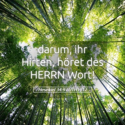Picture 05 - Hesekiel 34:9 LUTH1912 - darum, ihr Hirten, höret des HERRN - Bible Verse Picture