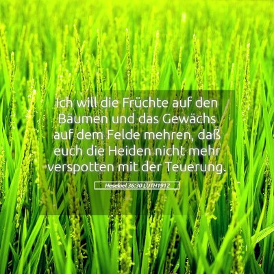 Picture 05 - Hesekiel 36:30 LUTH1912 - Ich will die Früchte auf den Bäumen und das - Bible Verse Picture