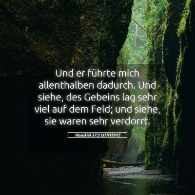 Picture 05 - Hesekiel 37:2 LUTH1912 - Und er führte mich allenthalben dadurch. Und - Bible Verse Picture