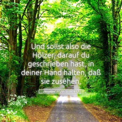 Picture 05 - Hesekiel 37:20 LUTH1912 - Und sollst also die Hölzer, darauf du - Bible Verse Picture