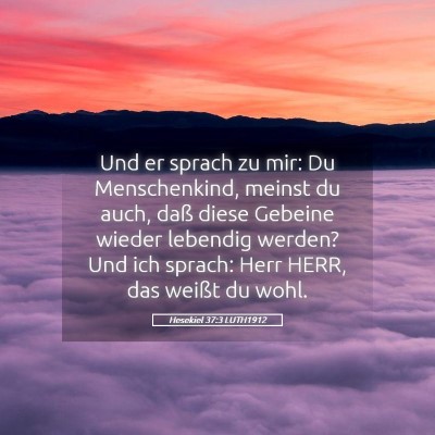 Picture 05 - Hesekiel 37:3 LUTH1912 - Und er sprach zu mir: Du Menschenkind, meinst du - Bible Verse Picture
