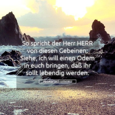 Picture 05 - Hesekiel 37:5 LUTH1912 - So spricht der Herr HERR von diesen Gebeinen: - Bible Verse Picture