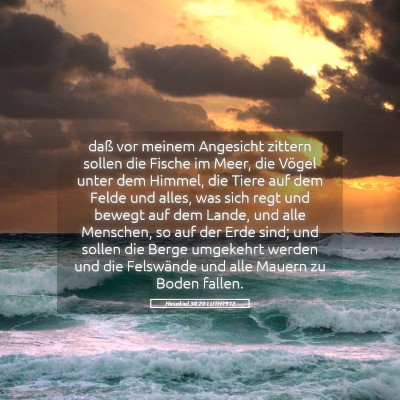 Picture 05 - Hesekiel 38:20 LUTH1912 - daß vor meinem Angesicht zittern sollen die - Bible Verse Picture