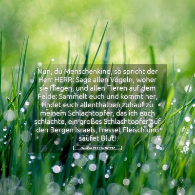 Picture 05 - Hesekiel 39:17 LUTH1912 - Nun, du Menschenkind, so spricht der Herr HERR: - Bible Verse Picture