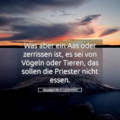Picture 05 - Hesekiel 44:31 LUTH1912 - Was aber ein Aas oder zerrissen ist, es sei von - Bible Verse Picture