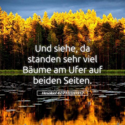 Picture 05 - Hesekiel 47:7 LUTH1912 - Und siehe, da standen sehr viel Bäume am Ufer - Bible Verse Picture