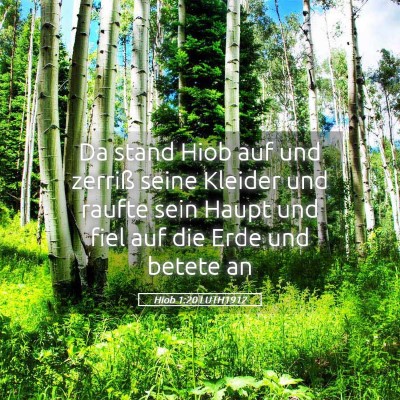 Picture 05 - Hiob 1:20 LUTH1912 - Da stand Hiob auf und zerriß seine Kleider und - Bible Verse Picture