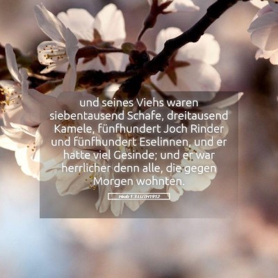 Picture 05 - Hiob 1:3 LUTH1912 - und seines Viehs waren siebentausend Schafe, - Bible Verse Picture