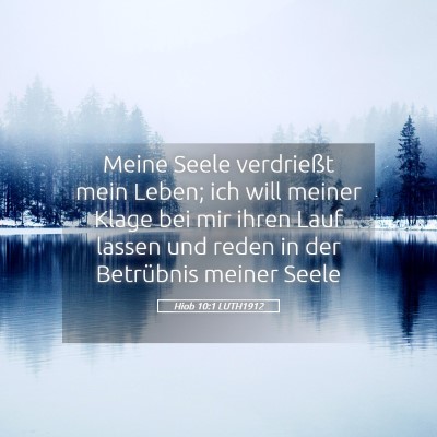 Picture 05 - Hiob 10:1 LUTH1912 - Meine Seele verdrießt mein Leben; ich will - Bible Verse Picture