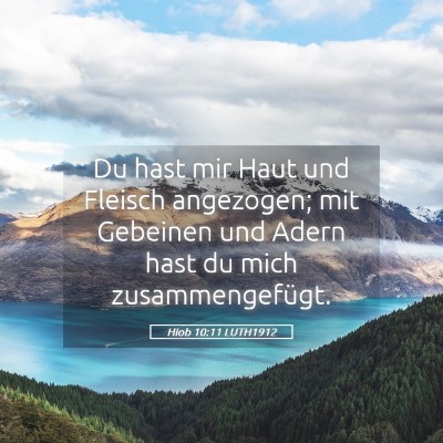 Picture 05 - Hiob 10:11 LUTH1912 - Du hast mir Haut und Fleisch angezogen; mit - Bible Verse Picture
