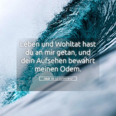 Picture 05 - Hiob 10:12 LUTH1912 - Leben und Wohltat hast du an mir getan, und dein - Bible Verse Picture